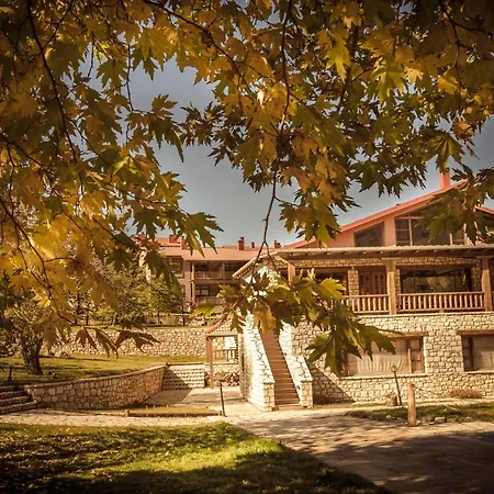 House Витина